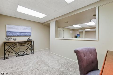 20 Webster Ave, Summit, NJ 07901 photo 30
