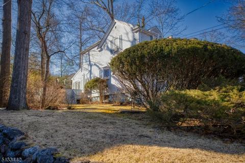 143 Chestnut Dr, Wayne, NJ 07470 photo 23