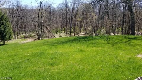 87 Davis Rd, Franklin, NJ 07416 photo 27