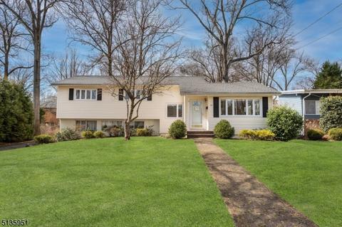 25 Wade Dr, Summit, NJ 07901 photo 1