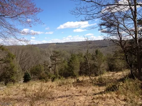 64 70 Mosle Rd, Peapack Gladstone Boro, NJ 07931
