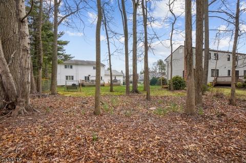 62 Ronald Ter, Springfield, NJ 07081 photo 29