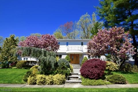62 Ronald Ter, Springfield, NJ 07081 photo 2