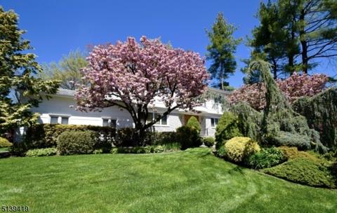 62 Ronald Ter, Springfield, NJ 07081 photo 30