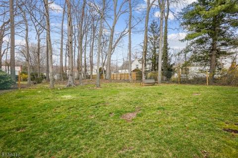 62 Ronald Ter, Springfield, NJ 07081 photo 27