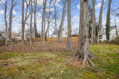 62 Ronald Ter, Springfield, NJ 07081 photo 28