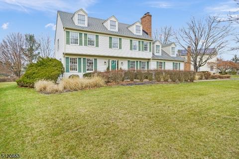 25 Brittany Pl, Basking Ridge, NJ 07920 photo 1