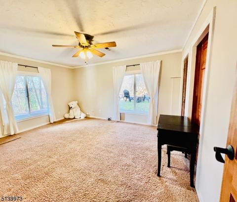 37 Nimbus Dr, Vernon, NJ 07462 photo 10