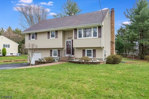 18 Messig Rd, Clinton, NJ 08809 photo 1