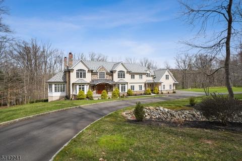165 Bliss Rd, Mendham, NJ 07945 photo 2