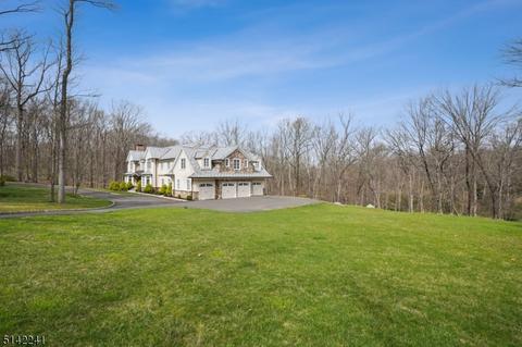 165 Bliss Rd, Mendham, NJ 07945 photo 42