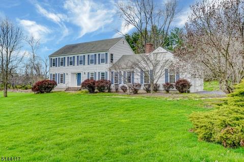 26 Apple Tree Rd, Flemington, NJ 08822 photo 1