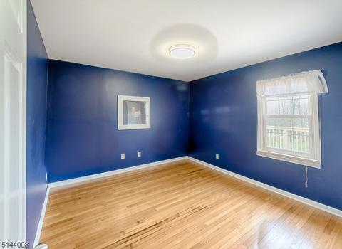 141 Perryville Rd, Hampton, NJ 08827 photo 14