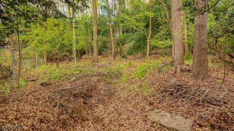 4 Archung Rd, Wayne, NJ 07470 photo 23