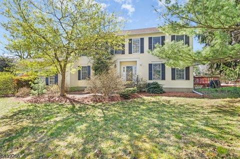 2 Memory Ln, Randolph, NJ 07869 photo 1