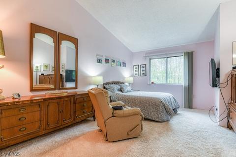 1003 Park Pl, Springfield, NJ 07081 photo 20