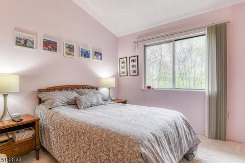 1003 Park Pl, Springfield, NJ 07081 photo 22