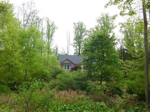 4 Mount Rascal Rd, Hackettstown, NJ 07840 photo 28