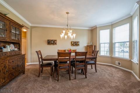 53 Saunders Ln, Hackettstown, NJ 07840 photo 15