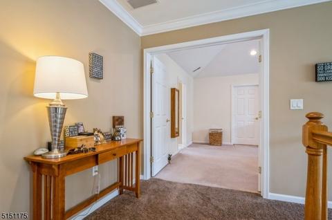 53 Saunders Ln, Hackettstown, NJ 07840 photo 19