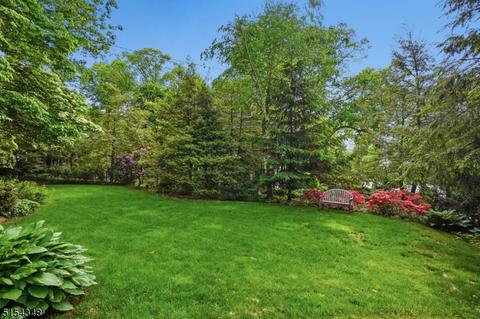51 Blackburn Rd, Summit, NJ 07901 photo 44