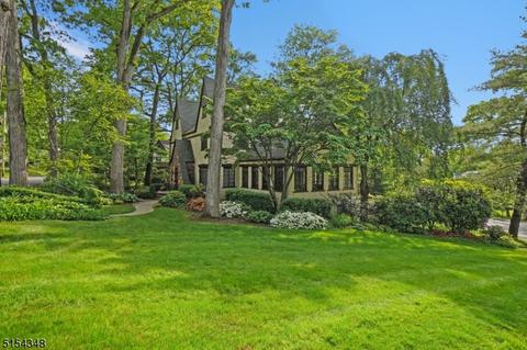 51 Blackburn Rd, Summit, NJ 07901 photo 45