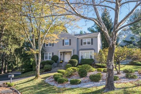 1068 Saddlebrook Rd, Mountainside, NJ 07092 photo 1