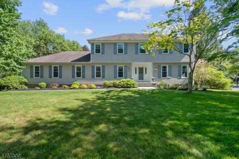 40 Beaver Dam Rd, Randolph, NJ 07869 photo 1