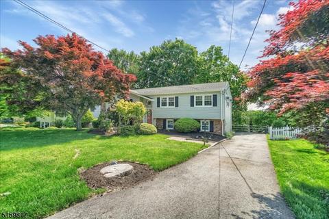 16 E Crescent Ave, Ramsey, NJ 07446 photo 3