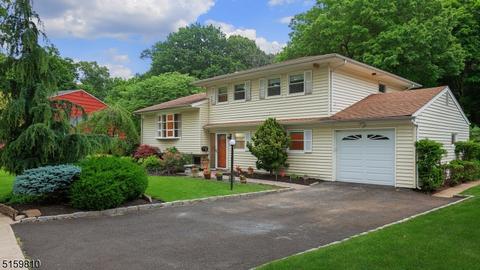 113 Laurel Dr, Springfield, NJ 07081 photo 1