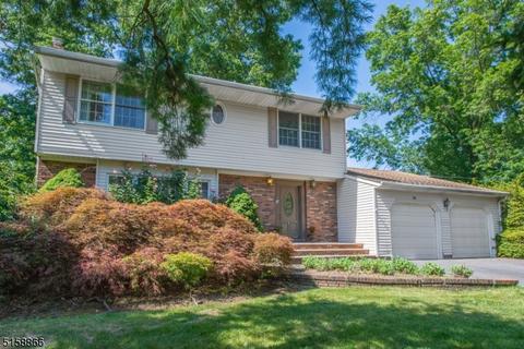 30 Debbie Ct, Wayne, NJ 07470 photo 2