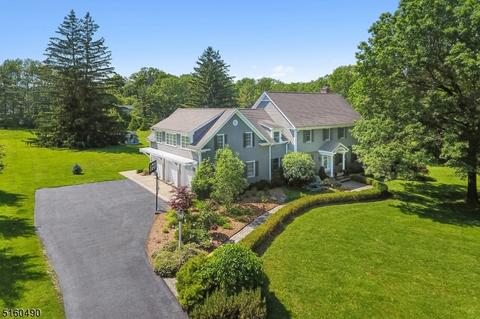 27 Lowery Ln, Mendham, NJ 07945 photo 3