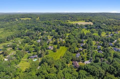 27 Lowery Ln, Mendham, NJ 07945 photo 28