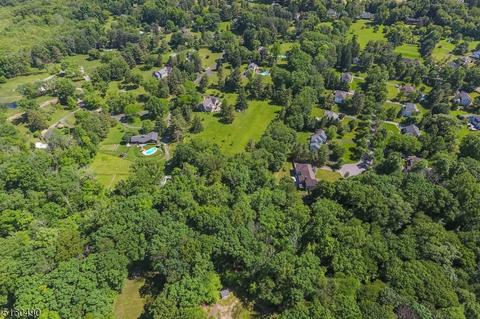 27 Lowery Ln, Mendham, NJ 07945 photo 33