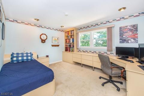 3 Penny Ct, Wayne, NJ 07470 photo 22