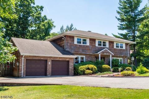 3 Penny Ct, Wayne, NJ 07470 photo 3