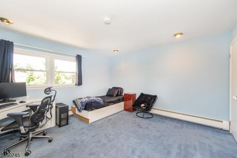3 Penny Ct, Wayne, NJ 07470 photo 23