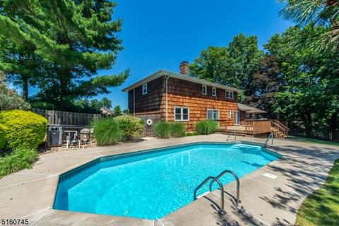 3 Penny Ct, Wayne, NJ 07470 photo 33
