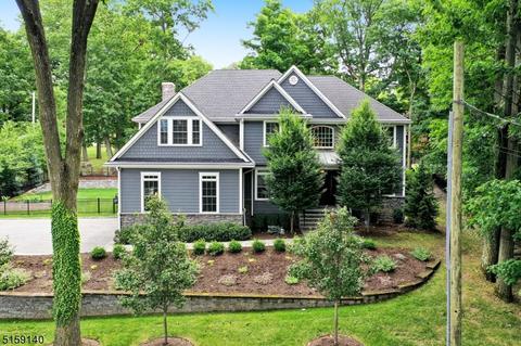 24 Spruce Ter, Wayne, NJ 07470 photo 1