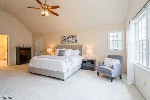 14 Eagle Dr, Ringoes, NJ 08551 photo 20