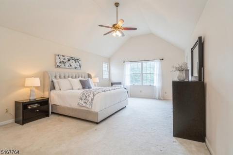 14 Eagle Dr, Ringoes, NJ 08551 photo 19