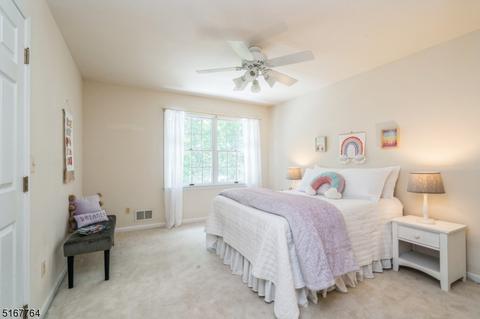 14 Eagle Dr, Ringoes, NJ 08551 photo 25