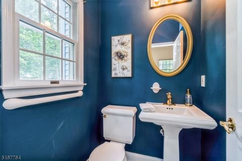 14 Eagle Dr, Ringoes, NJ 08551 photo 14