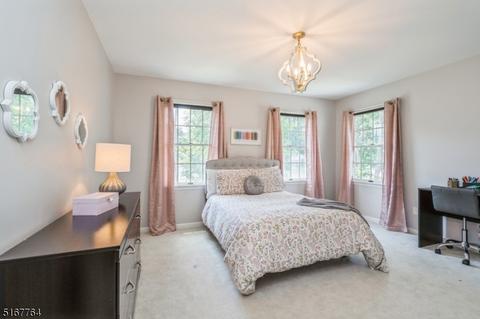 14 Eagle Dr, Ringoes, NJ 08551 photo 23