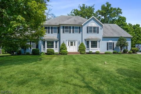 14 Eagle Dr, Ringoes, NJ 08551 photo 1