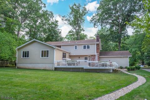 4 Spring Hill Ct, Randolph, NJ 07869 photo 39