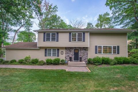 4 Spring Hill Ct, Randolph, NJ 07869 photo 1