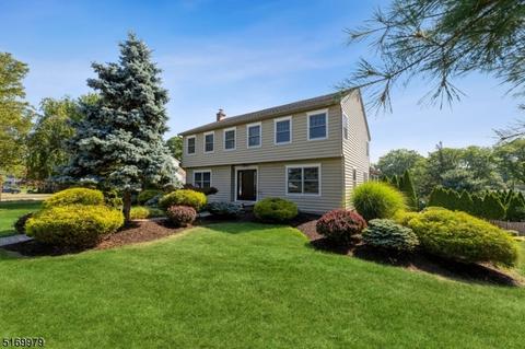 2 Farmstead Ln, Wayne, NJ 07470 photo 1