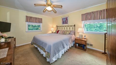 17 Alpine Dr, Wayne, NJ 07470 photo 19