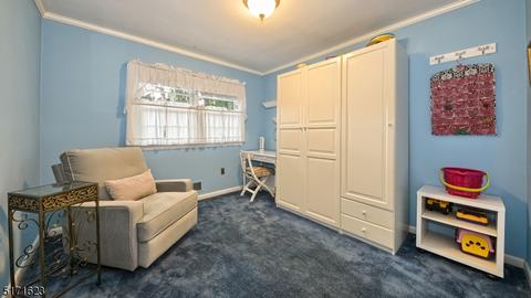 17 Alpine Dr, Wayne, NJ 07470 photo 25